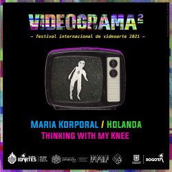 Videograma