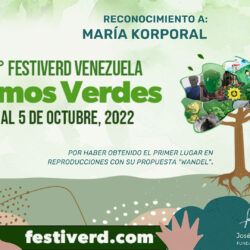 10° Festiverd Venezuela