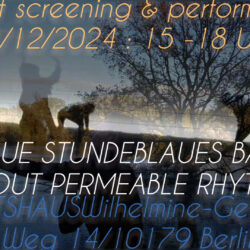 Sunset Screening & Performance